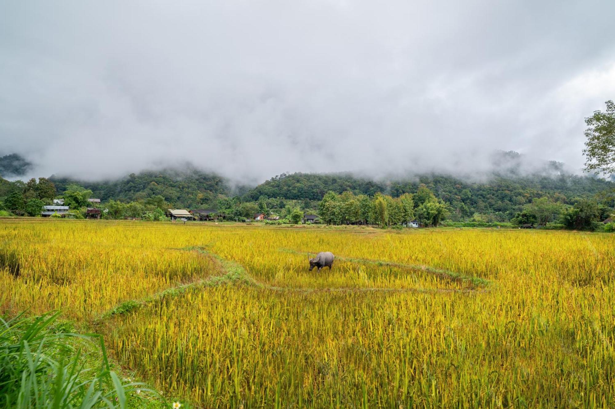 Luxury Farm House Pai Luaran gambar