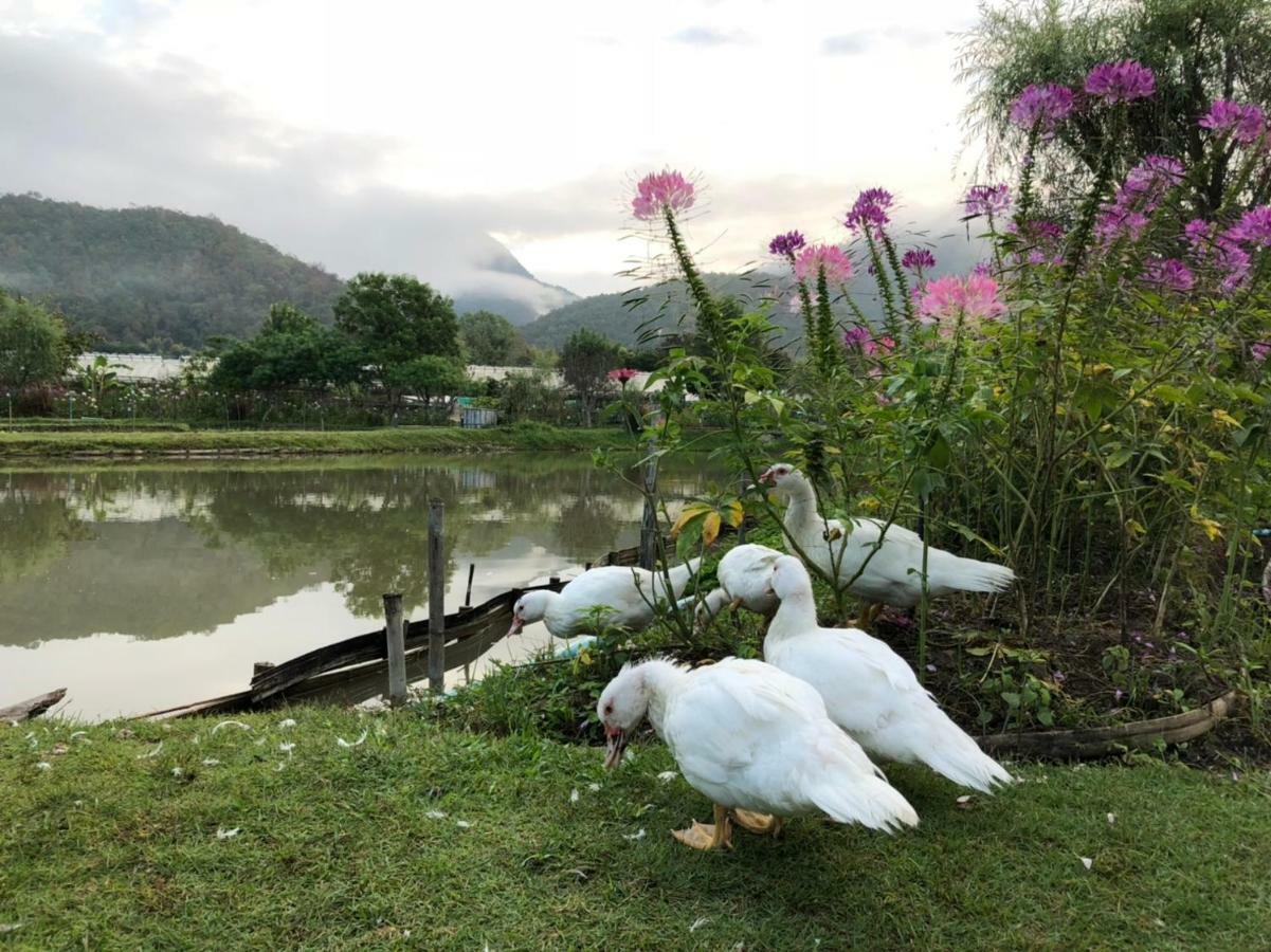 Farmstay At Pai Luaran gambar